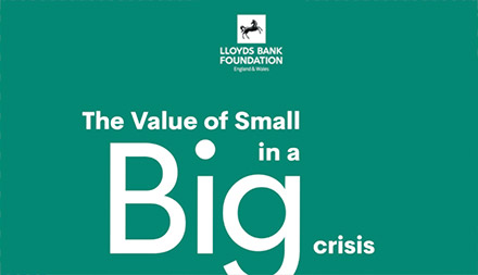 The Value of small in a BIG crisis report logo