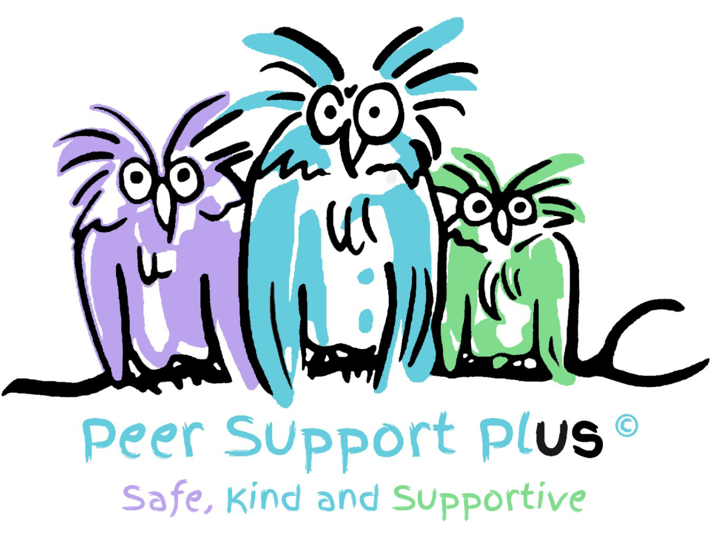 Peer Support Plus logo featuring 3 owls, purple on te left, a blue owl in the middle and a green owl on the right. It features the charity name underneath and the words safe, kind and supportive.