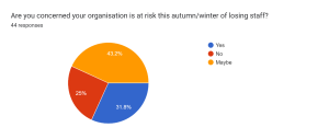 Survey pie chart 