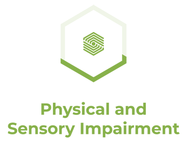 Logo. An outline of green hexagon with a a smaller hexagon in the middle. Text reads: Physical and Sensory Impairment