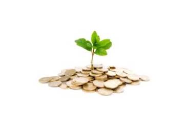 Image shows a pile of coins with a small plant growing out the top of it.
