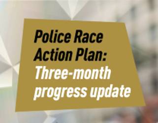 Police Race Action Plan Three month progress update