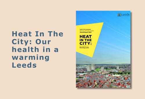 Director of Public Health Annual Report 2025 - Heat in the City report front page